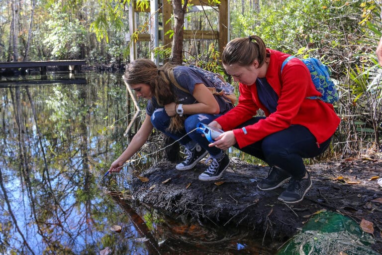 St. Johns Water Management District Offers Teachers Funding Opportunity to Educate Students on Water Conservation