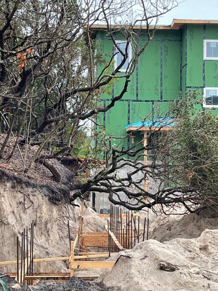 Building Encroachment on Amelia Island Dune: Situation Worsens
