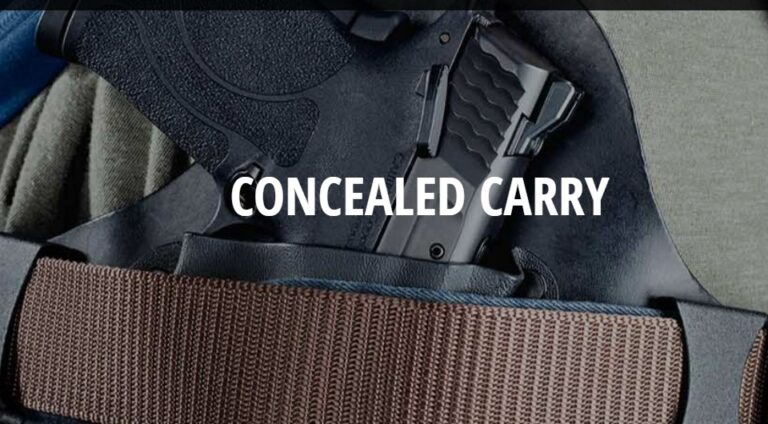 Florida Becomes 26th State to Allow People to Carry Concealed Gun Without Permit