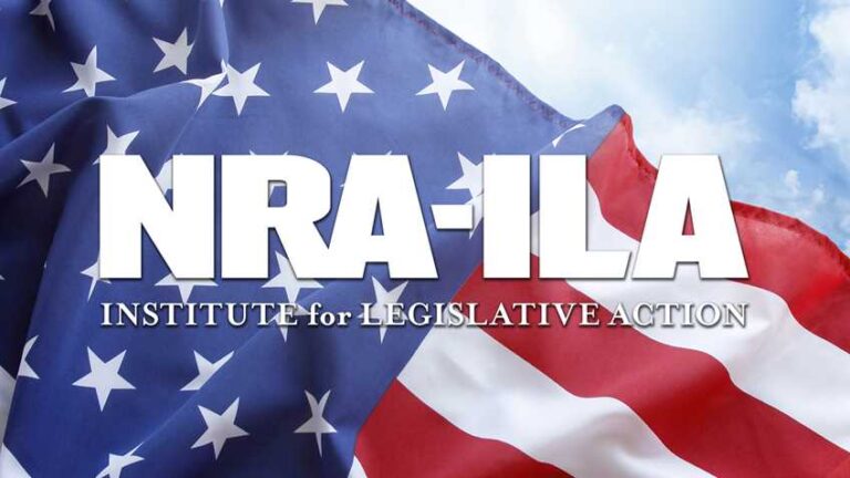 Florida: Constitutional Carry Introduced