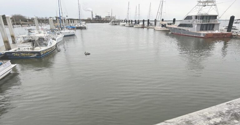 Fernandina City Marina: A Fairway Wide Enough for Ships to Pass