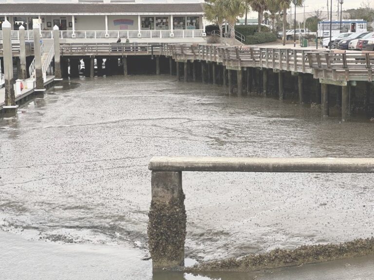 Original Marina Design: Greatest Mud Trap in History