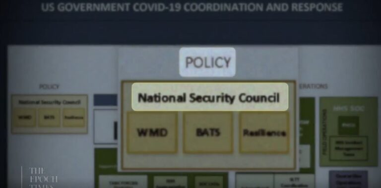 Debbie Lerman: How America’s National Security Complex Took Over the Pandemic Response
