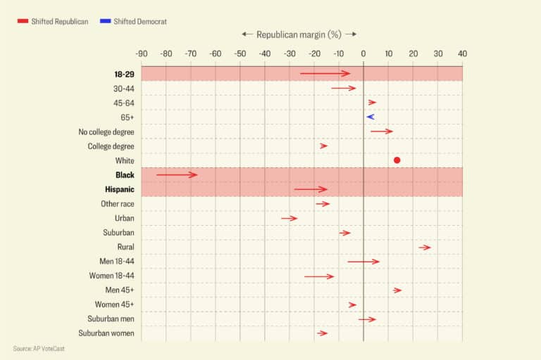 “Too Big to Rig”: Who Voted for Trump and Why?