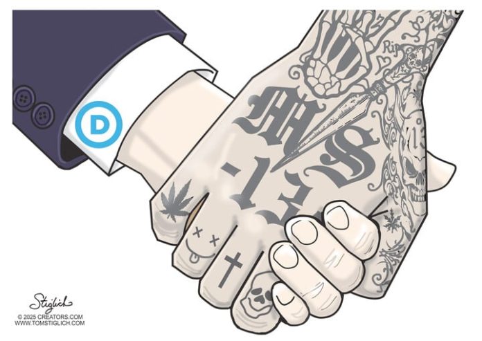 Dem MS13